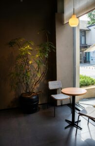 Cozy corner of a modern café featuring a plant, chairs, and a round table by the window.