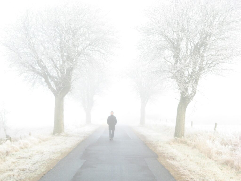 A lone person walks down a foggy, frosty road flanked by winter trees, creating a serene winter scene.